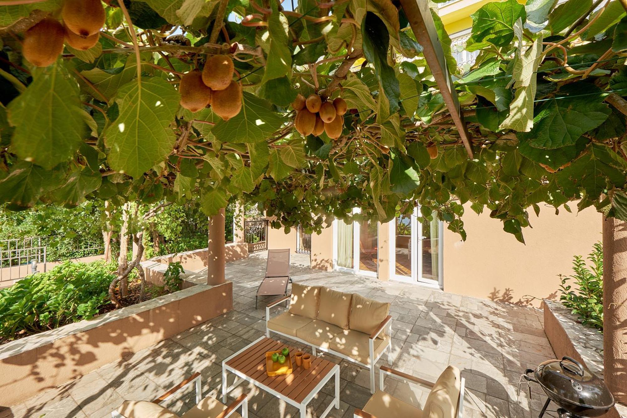 דובורטה 2Montenegro Mimoza Apartments מראה חיצוני תמונה